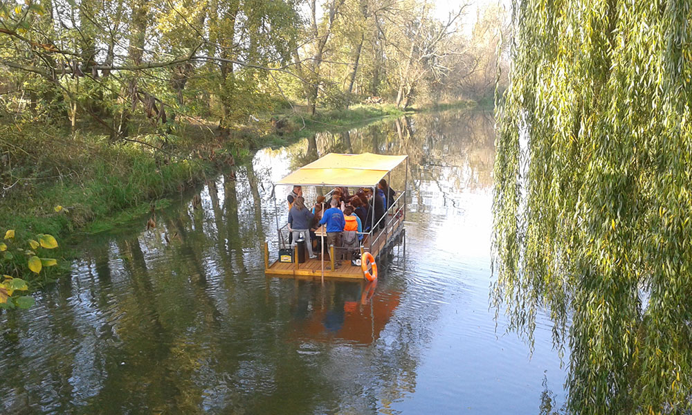 betriebsfeier-auf-der-flossfahrt-im-oderbruch_2.jpg