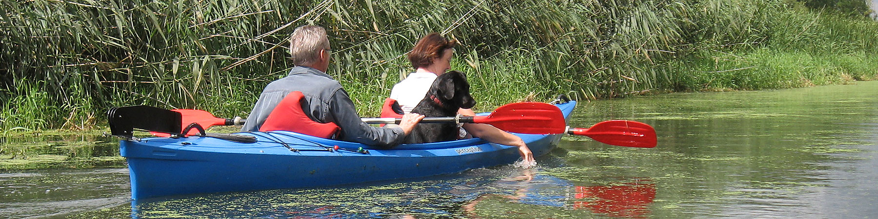 image2.jpg
