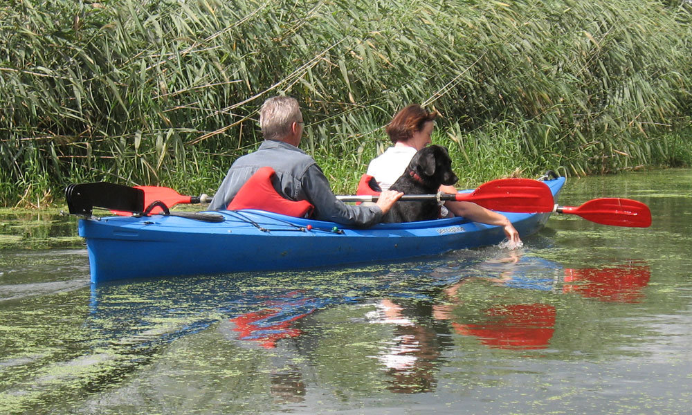 paddelausflug-mit-hund-im-maerkisch-oderland.jpg