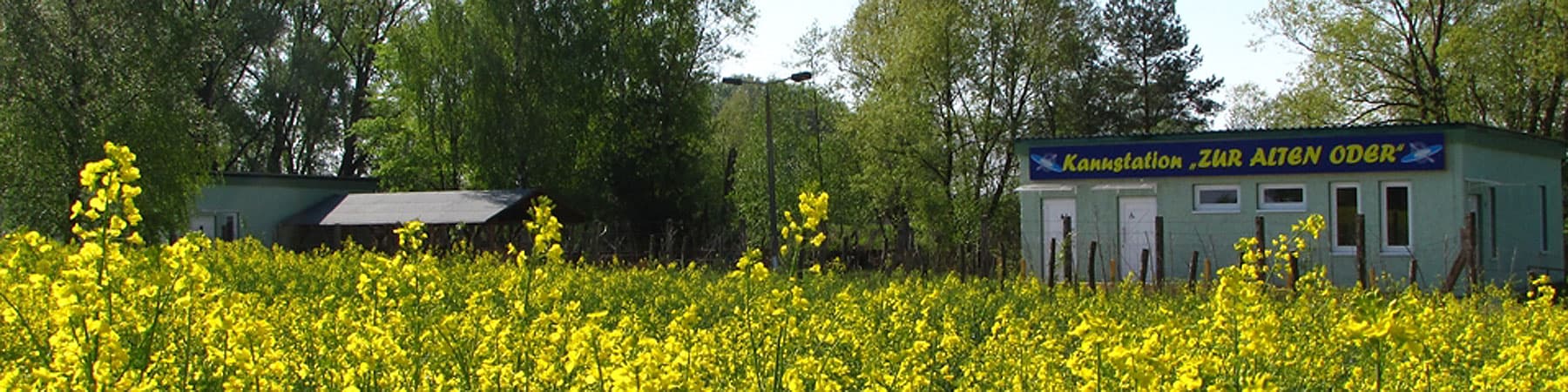 slider-3.jpg