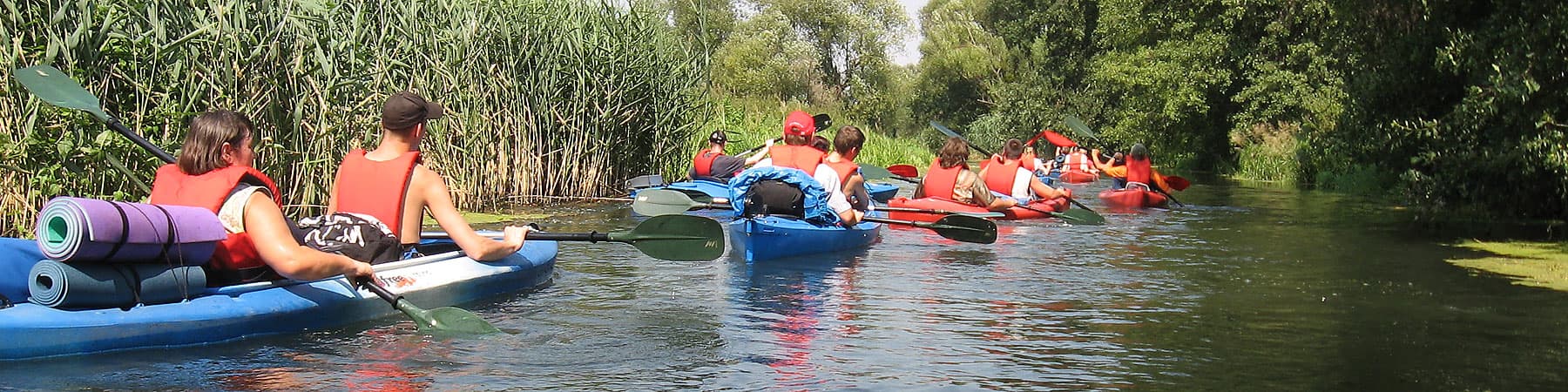 slider-5.jpg