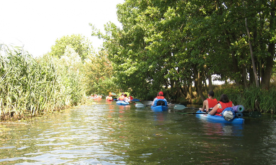 wasserwandern-auf-der-alten-oder-bei-gusow_2.jpg