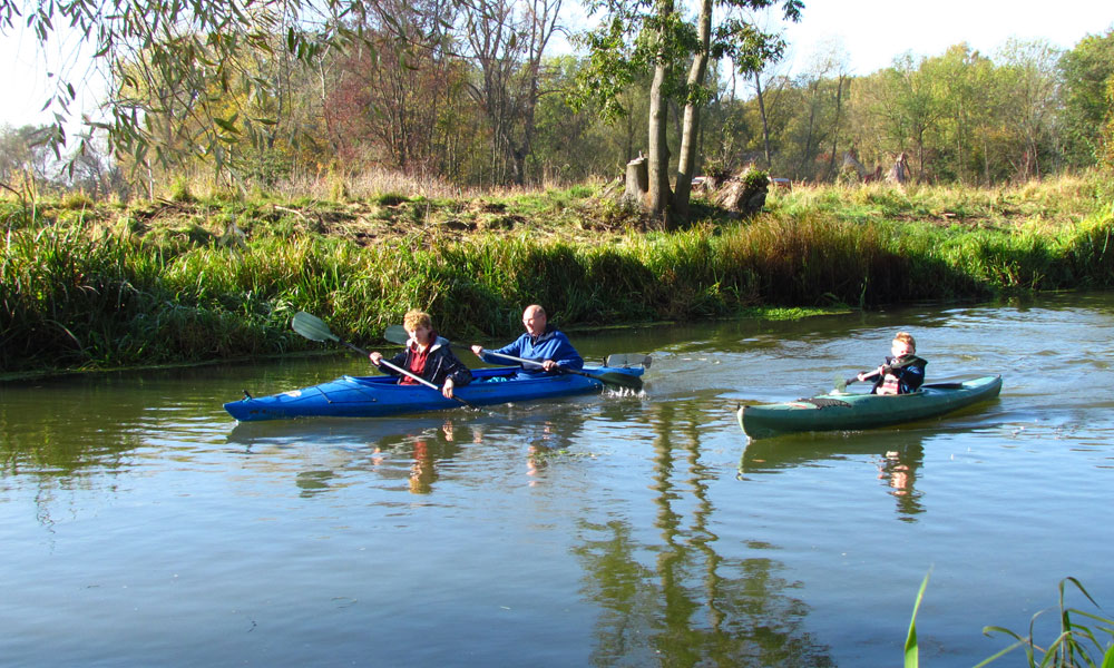wasserwandern-im-oderbruch-bei-quappendorf.jpg
